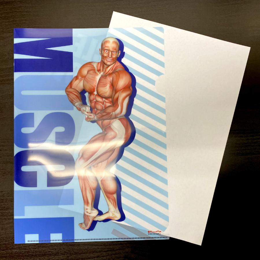 筋次郎コレクション1 クリアファイル30枚セット（3種×10枚） : 筋肉