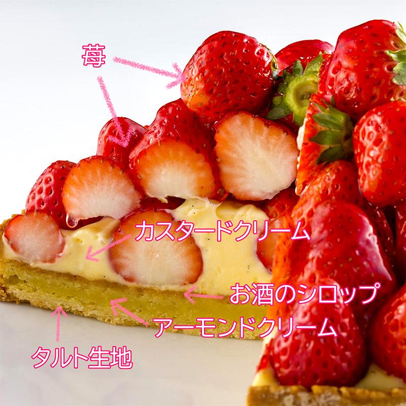 ケーキ型・タルト型　計12品まとめて 敬老の日 2025 ケーキ タルト お菓子 スイーツ 贈り物 ギフト