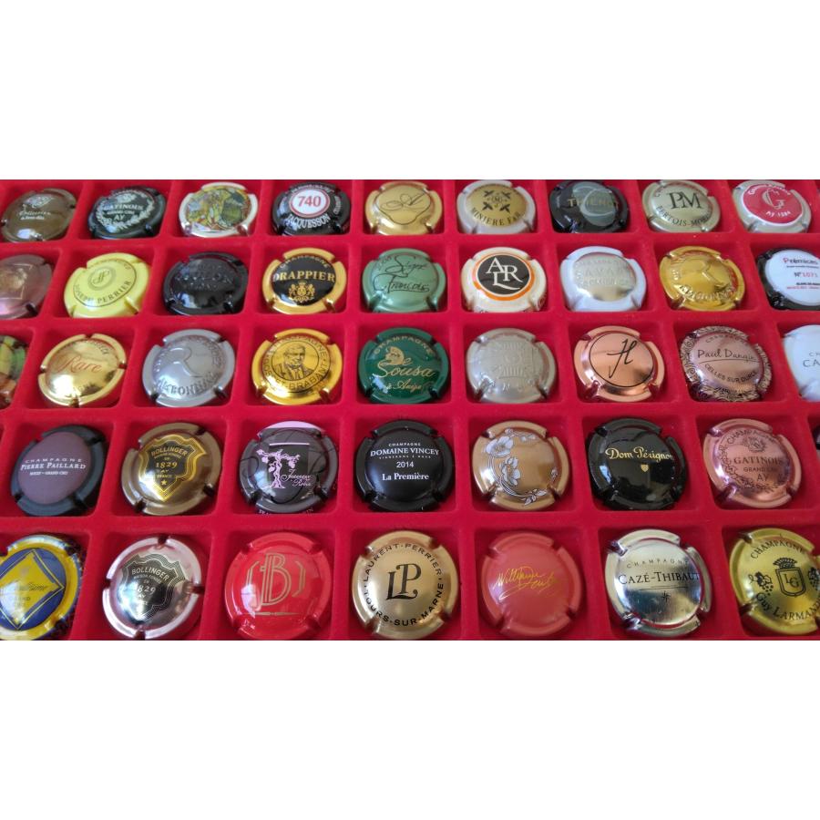 syudou 共闘 缶バ 31点まとめ売り 【予約商品】グリッター缶