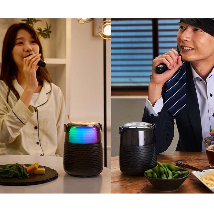 ライソン LITHON よいどれスピーカー＆マイク SP-43 KABS-043B