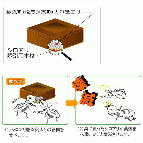 シロアリ駆除剤 設置型 簡単 シロアリハンター (6個入) 置き型 放置 