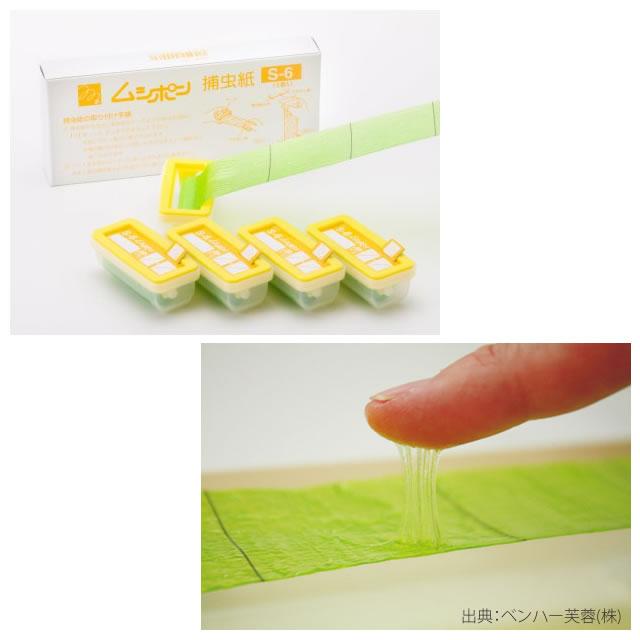 まとめ購入100個)ムシポン 捕虫紙 S-6 (5個入×20箱) 交換 取替え まとめ購入100個)ムシポン 捕虫紙 S-6 (5個入×20箱) 交換 取替え