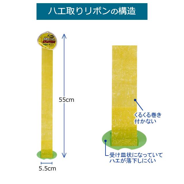 ケース単位/カモ井 粘着式ハエ取り 吊るすだけ 3枚入×80個(240枚) くるくる 巻かない 手が汚れにくい ハエトリ リボン 送料無料｜mushi-taijistore｜02