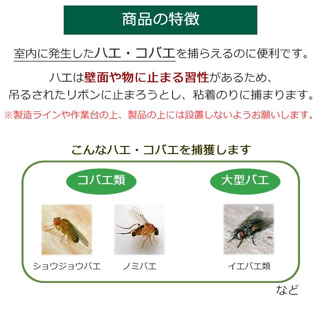 あすつく対応/定番・人気 ハエ取りリボン カモ井 粘着式ハエ取り 吊るすだけ/ 1個(3枚入) ハエトリ リボン|mushi-taijistore|03
