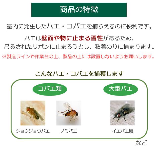 あすつく 定番・人気 ハエ取りリボン カモ井 粘着式ハエ取り 吊るすだけ 1個(3枚入) ハエトリ リボン｜mushi-taijistore｜03