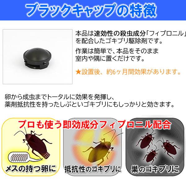 ゴキブリ駆除 速効性 退治 ブラックキャップ 2g×12個入 医薬部外品 ゴキブリ団子 即効タイプ アース あすつく対応｜mushi-taijistore｜02