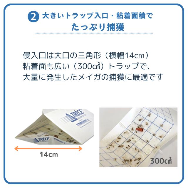ノシメマダラメイガ用フェロモントラップ 10セット入 フェロモンルアー