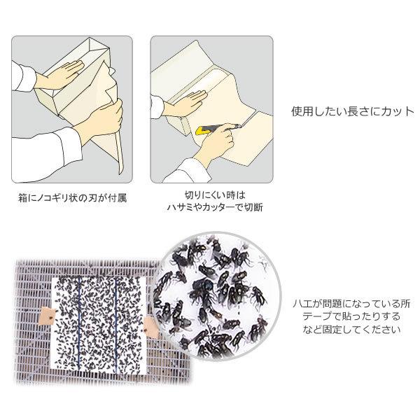 ロール10m ハエトリシート ハエ取り 粘着シート ピタットボックス 10m×9箱 必要な長さに切って使う 鶏舎 畜舎 馬舎 ハエ駆除 ピタッとBOXの画像