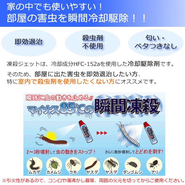 冷やす 凍らして駆除 凍殺ジェット 300ml 這う虫・飛ぶ虫 フマキラー