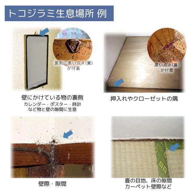 バルサン バルサンまちぶせスプレー 300ml×24本トコジラミ バルサン バルサンまちぶせスプレー 300ml×24本トコジラミ