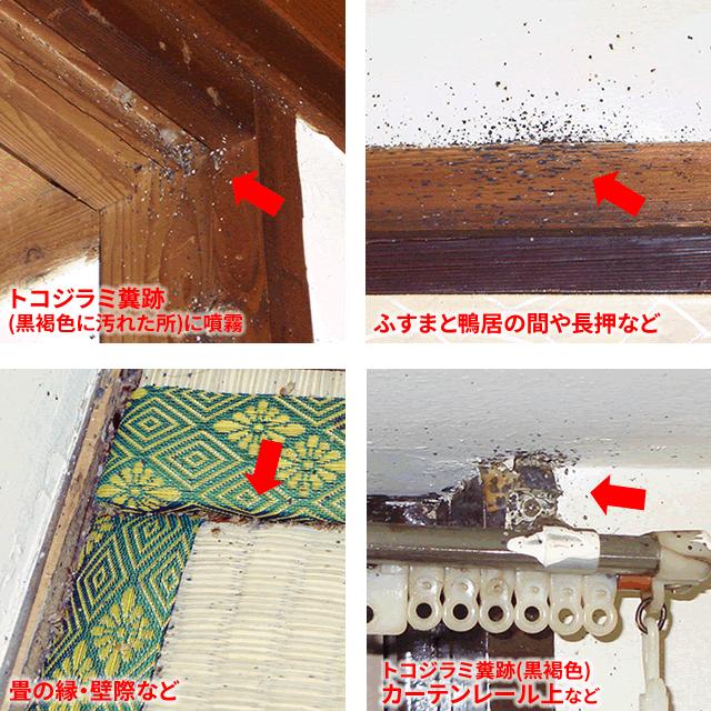 キンチョー 2本セット コックローチME 450ml×2本 トコジラミ キンチョー 2本セット コックローチME 450ml×2本 トコジラミ