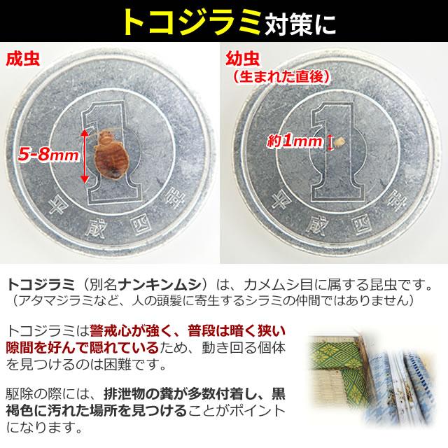 キンチョー 3本セット コックローチME 450ml×3本 トコジラミ キンチョー 3本セット コックローチME 450ml×3本 トコジラミ