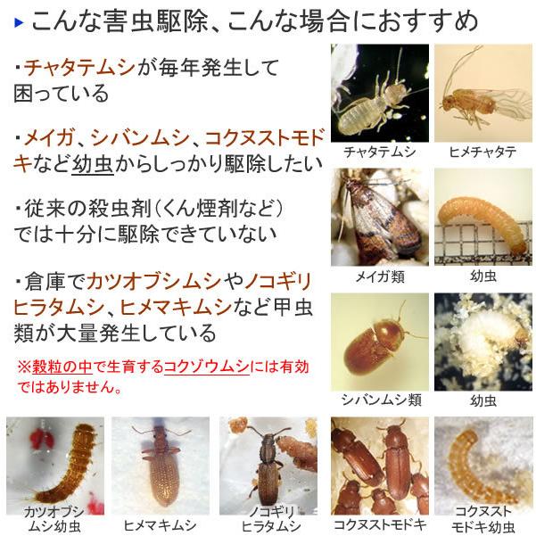 メイガ駆除 シバンムシ駆除 ファーストキルt 300ml 6本 お得用箱 空間全体処理用 シバンムシ メイガ幼虫 チャタテムシ 発生予防 N 虫退治 Com Yahoo ショップ 通販 Yahoo ショッピング