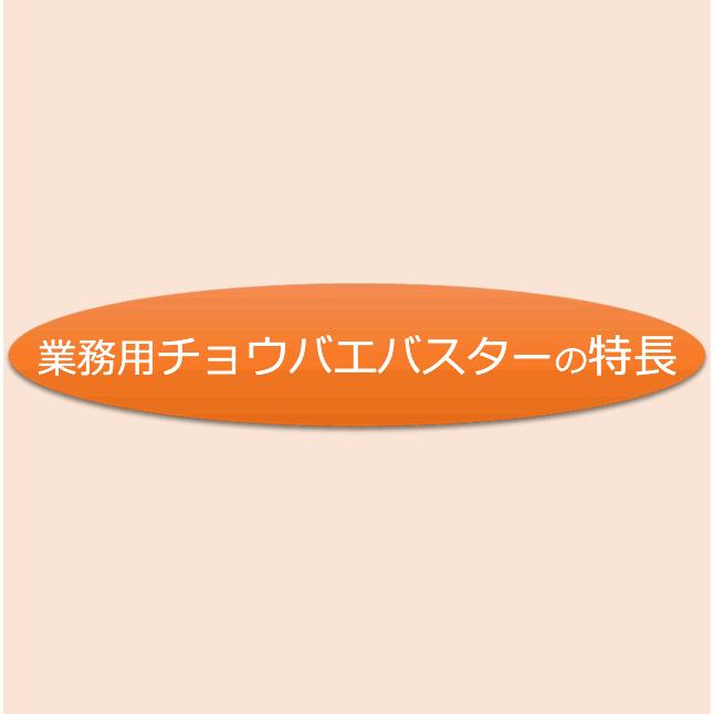 チョウバエ駆除セット/コバエ用ムースBIG 400ml +チョウバエ チョウバエ駆除セット/コバエ用ムースBIG 400ml +チョウバエ