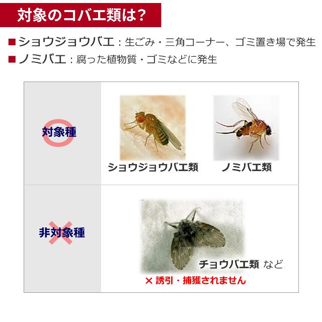 コバエがホイホイ お得用20個 業務用コバエがホイホイ 160g×20個 コバエがホイホイ お得用20個 業務用コバエがホイホイ 160g×20個