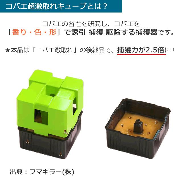 捕獲力2.5倍に フマキラー コバエ超激取れキューブ 飛んでる 虫 捕獲力2.5倍に フマキラー コバエ超激取れキューブ 飛んでる 虫