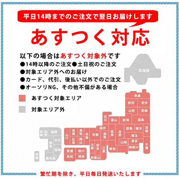 ねずみ駆除 チューモアブラシL 長さ 60cm 直径 50mm ６本セット 防鼠ブラシ 侵入防止