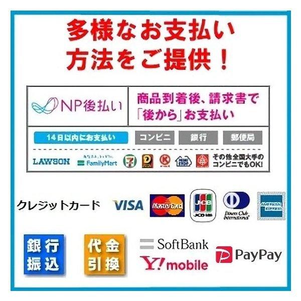 アース製薬 ゴキブリ駆除 業務用 ゴキジェット 450ml 医薬部外品 アース製薬 ゴキブリ駆除 業務用 ゴキジェット 450ml 医薬部外品