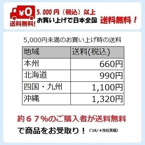 除菌 ゴキブリ 駆除 噴霧器 B&G エクステンダーバン 1ガロン 約3.8L ノズル 8インチ 3台セット｜mushinai｜06