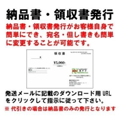 殺鼠剤 デスモア プロ トレータイプ 15g×4トレー 医薬部外品 ネズミ駆除 ネズミ毒餌 アース製薬｜mushinai｜07