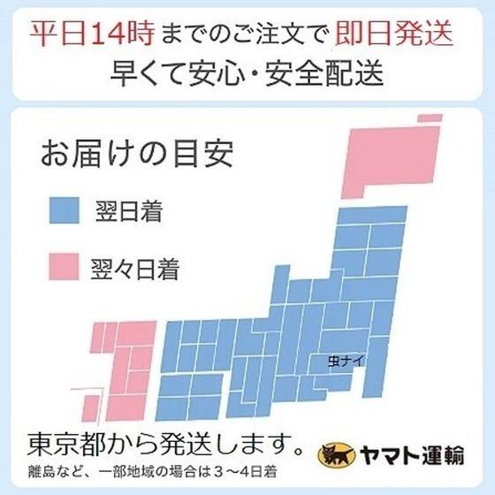 ねずみ駆除 即効忌避スプレー ネズミZ 480ml ６本セット 株式会社SHIMADA シマダの画像