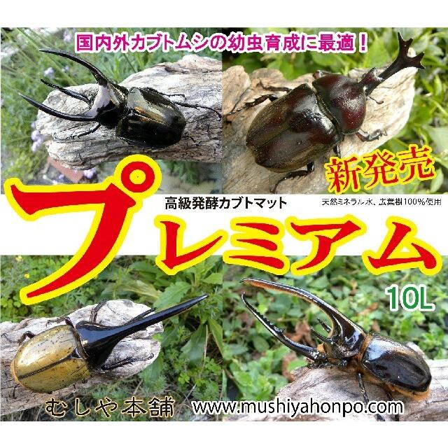 カブトムシ幼虫のエサ 高級発酵カブトマット プレミアム 10ｌ むしや本舗 ヤフー店 通販 Yahoo ショッピング