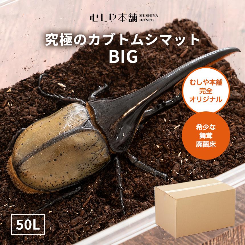 お徳用 高カロリー 廃菌床発酵「カブトムシマットBIG」50リットル 昆虫