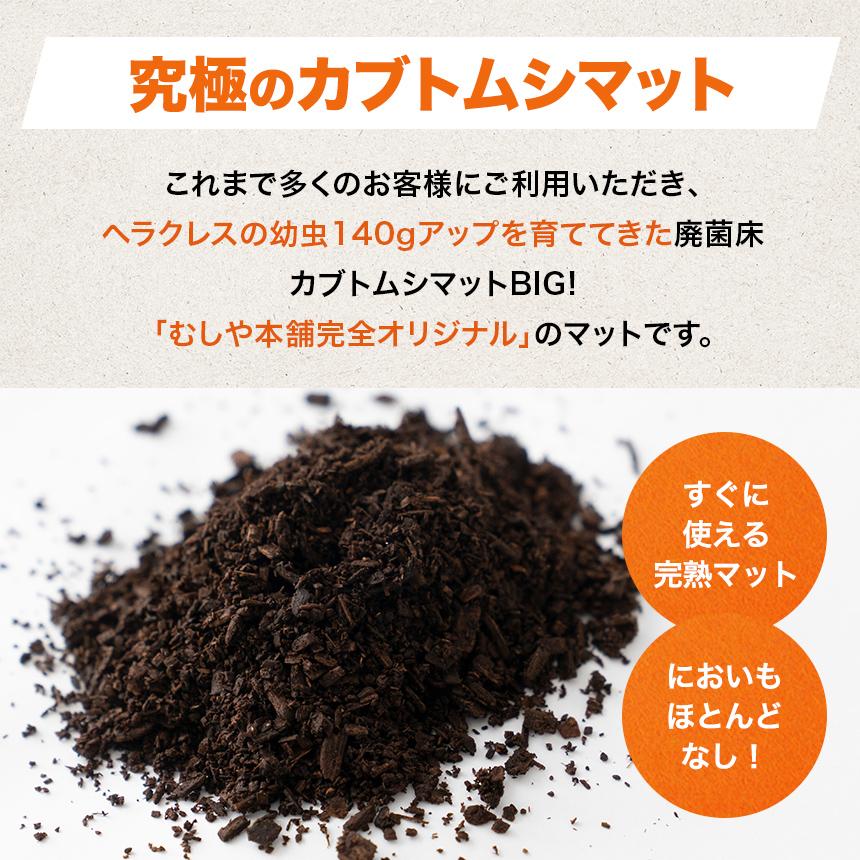 高カロリー!廃菌床発酵カブトムシ マット「BIG」10リットル 1袋 高カロリー!廃菌床発酵カブトムシ マット「BIG」10リットル 1袋