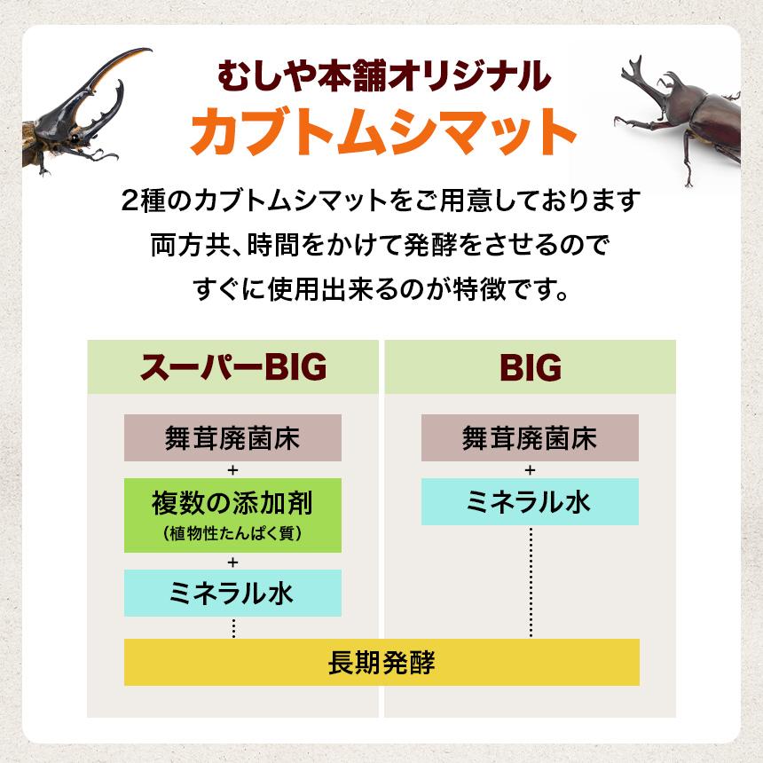 高カロリー!廃菌床発酵カブトムシ マット「BIG」10リットル 1袋 高カロリー!廃菌床発酵カブトムシ マット「BIG」10リットル 1袋