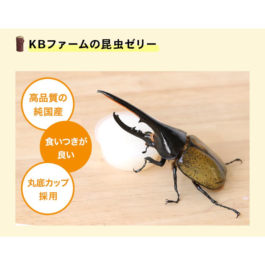 50個 KBファーム プロゼリー 昆虫ゼリー クワガタ カブト