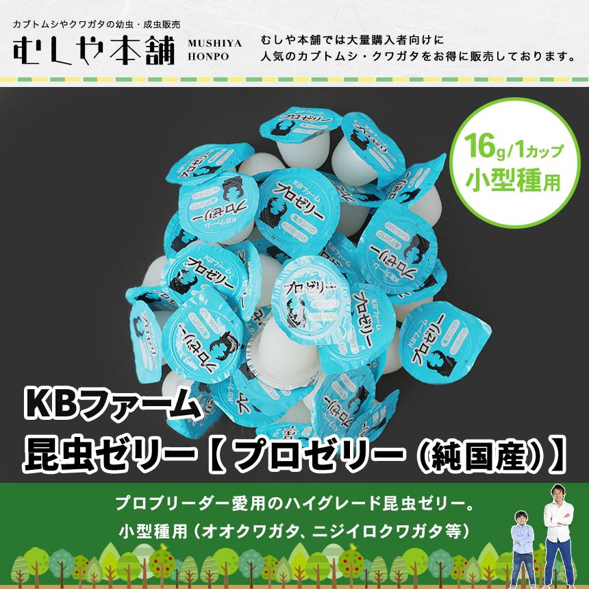 食いつき抜群!【ハイグレード昆虫ゼリー プロゼリー(純国産 食いつき抜群!【ハイグレード昆虫ゼリー プロゼリー(純国産