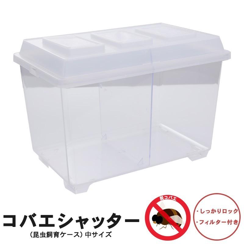 コバエシャッター「昆虫飼育ケース」中サイズ 内部仕切りなし : むしや
