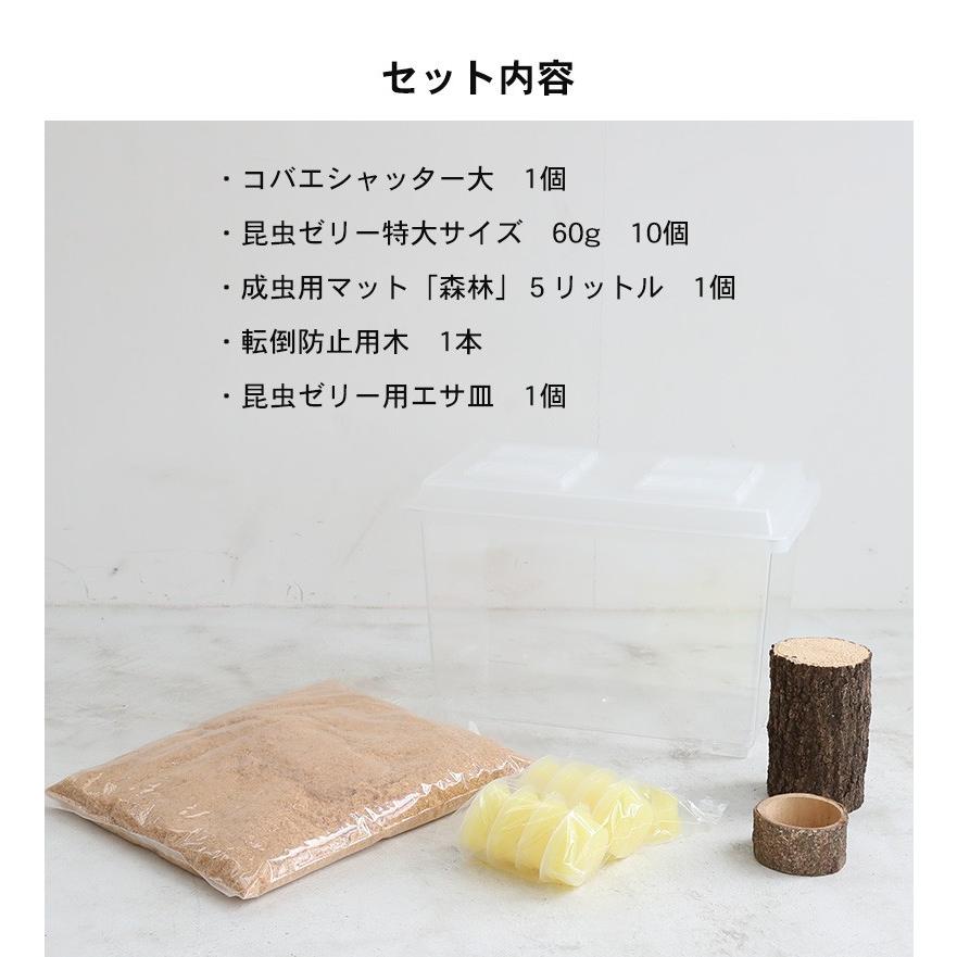 コバエシャッター「昆虫飼育ケース」大サイズ 内部仕切りなし 豪華5点