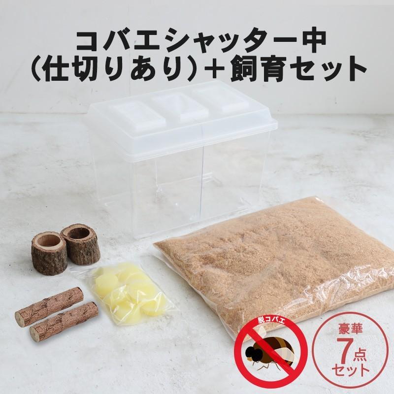 コバエシャッター「昆虫飼育ケース」中サイズ 内部仕切りあり 豪華7点