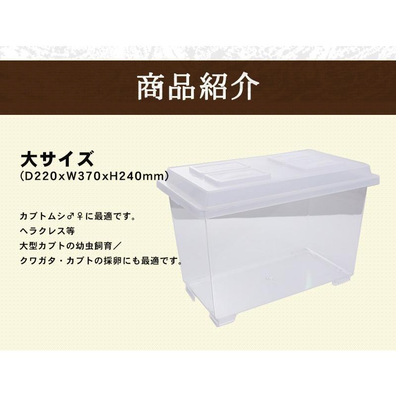 コバエシャッター「昆虫飼育ケース」中サイズ 内部仕切りあり 豪華7点