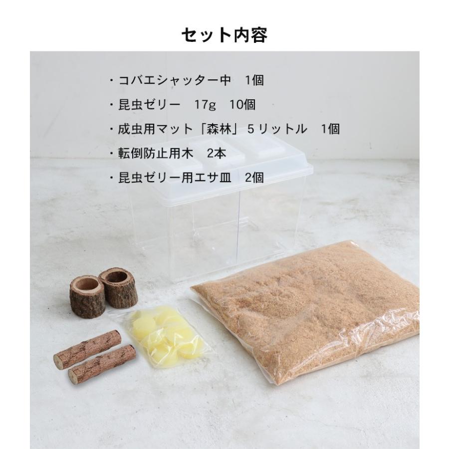コバエシャッター「昆虫飼育ケース」中サイズ 内部仕切りあり 豪華7点