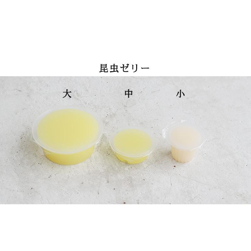 コバエシャッター「昆虫飼育ケース」小サイズ 内部仕切りあり 豪華7点