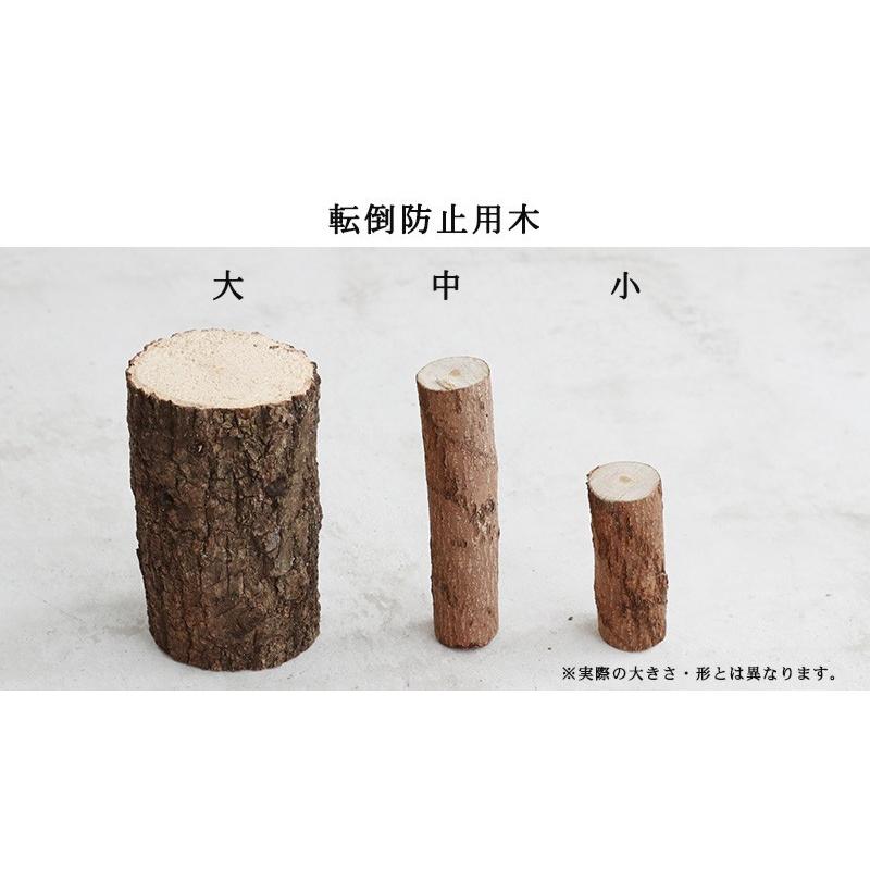 コバエシャッター まとめ売り コバエシャッター「昆虫飼育ケース」小サイズ 内部仕切りあり 豪華7点