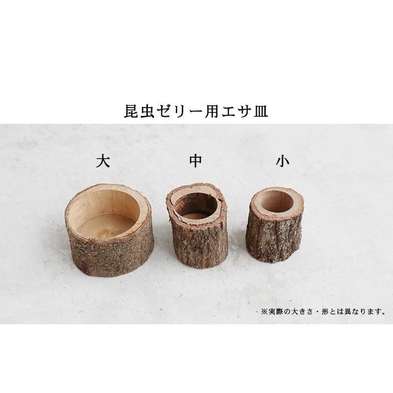 コバエシャッター「昆虫飼育ケース」小サイズ 内部仕切りあり 豪華7点