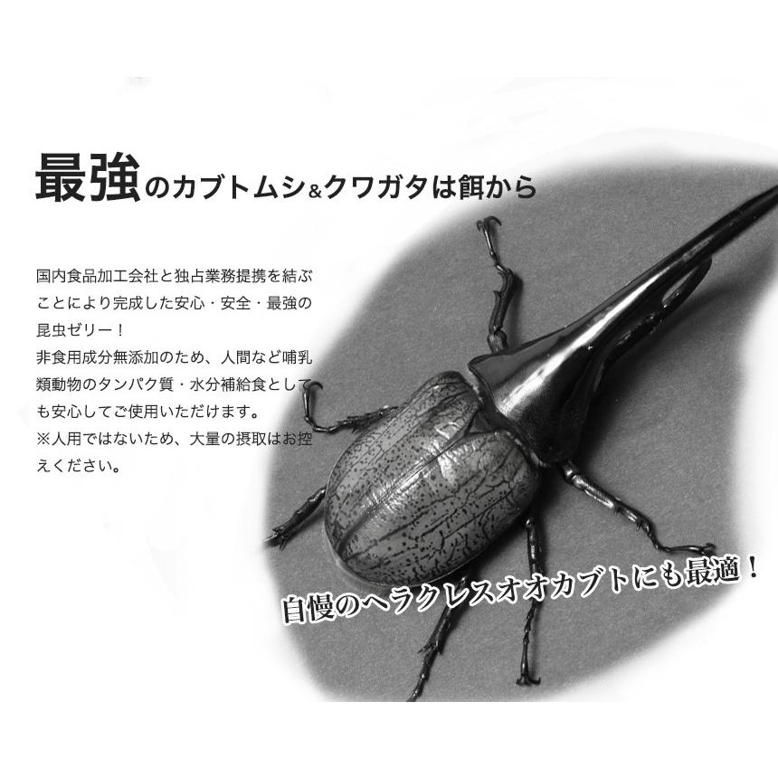 栄養満点 ミルキーホワイト 昆虫 ゼリー 20個入り カブトムシ クワガタ