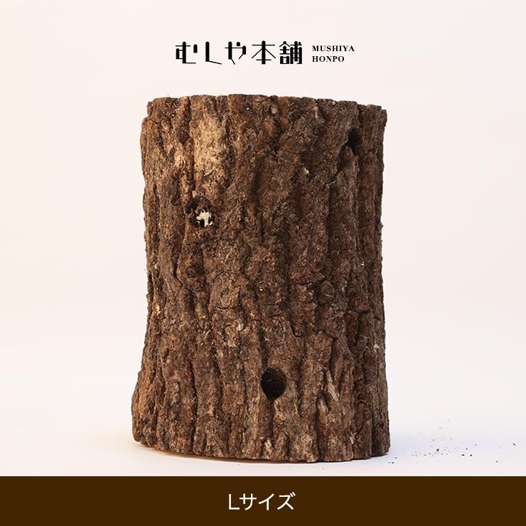 むしや本舗 産卵木 クヌギ Lサイズ オオクワガタ用産卵材 ブリード