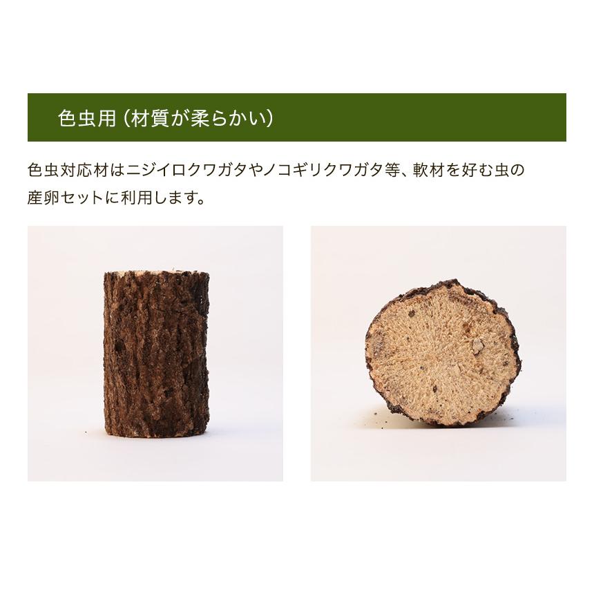 むしや本舗 産卵木 クヌギ Lサイズ オオクワガタ用産卵材 ブリード