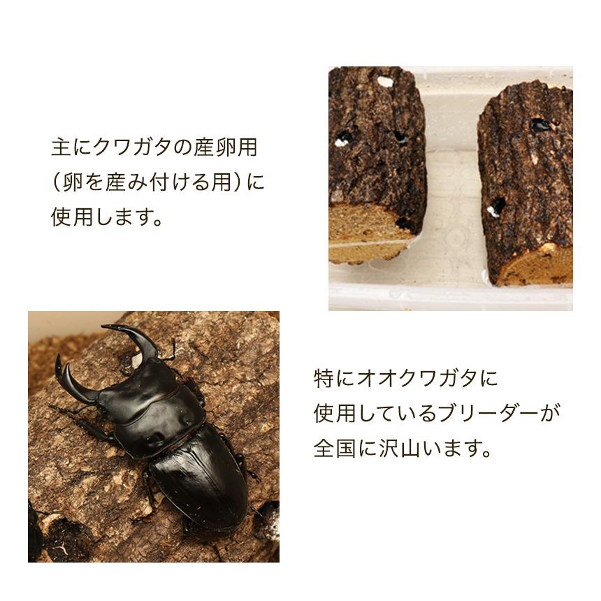 むしや本舗【産卵木 クヌギ LLサイズ】オオクワガタ用産卵材 ブリード 養殖  ペット 飼育用に｜mushiya-honpo｜04