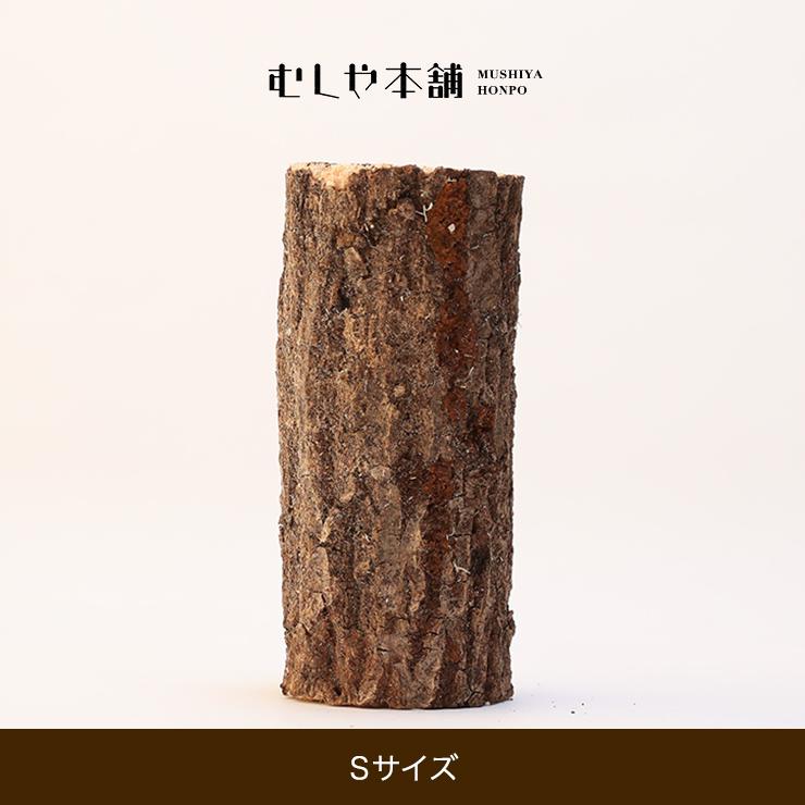 むしや本舗 産卵木 クヌギ Sサイズ オオクワガタ用産卵材 ブリード
