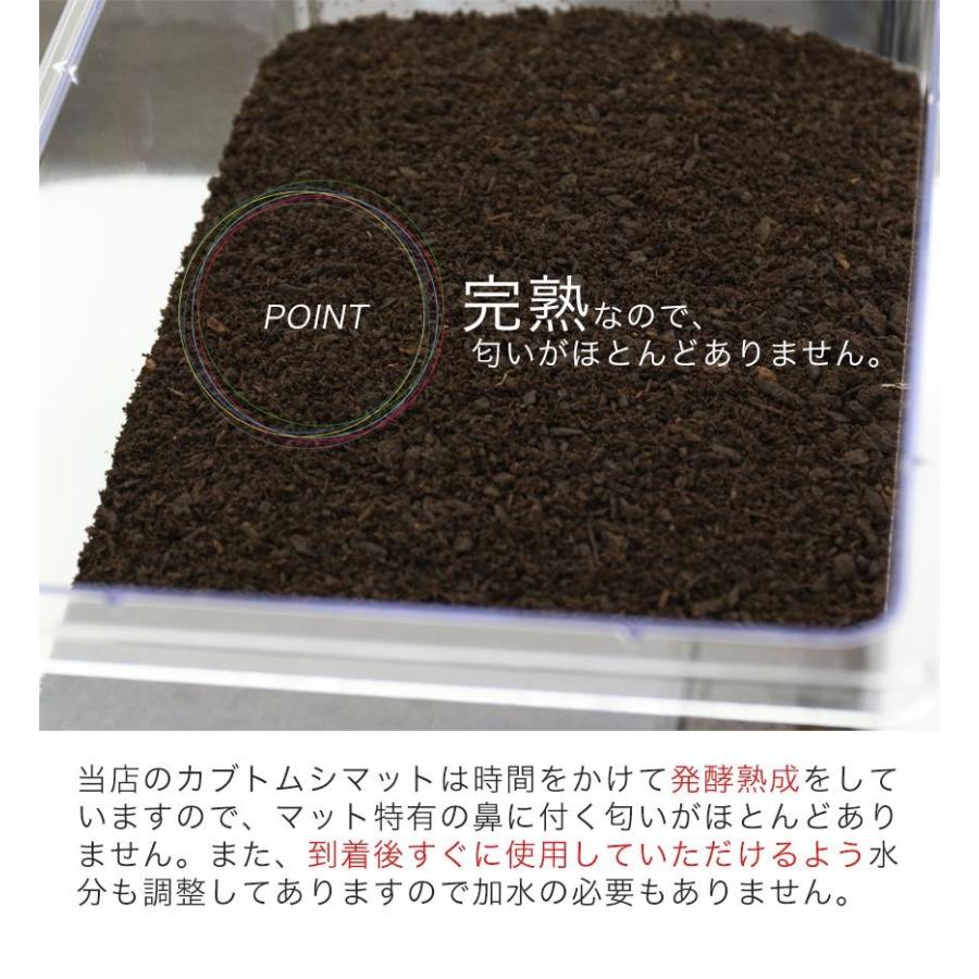 徳用50L カブトムシ幼虫のエサ 廃菌床カブトムシマット「スーパーBIG」/幼虫昆虫 :superbig-50:むしや本舗 ヤフー店 - 通販 - Yahoo!ショッピング 徳用50L カブトムシ幼虫のエサ 廃菌床カブトムシマット「スーパーBIG」/幼虫昆虫 :superbig-50:むしや本舗 ヤフー店 - 通販 - Yahoo!ショッピング
