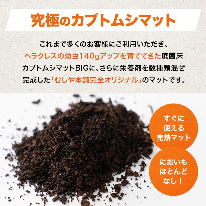 超高カロリー 廃菌床 カブトムシマット「スーパーBIG」10リットル 1袋