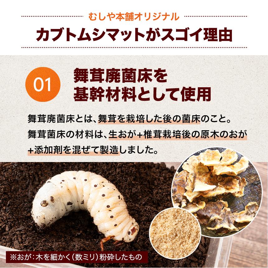 超高カロリー 廃菌床 カブトムシマット「スーパーBIG」10リットル 1袋