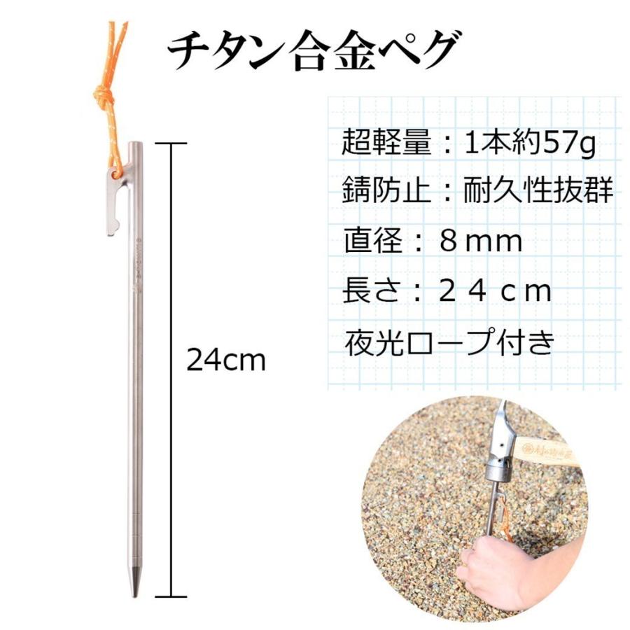 【送料無料】チタンペグ 24cm 16本セット チタンペグ 24cm 16本セット【メール便】s-flowme(スフローム