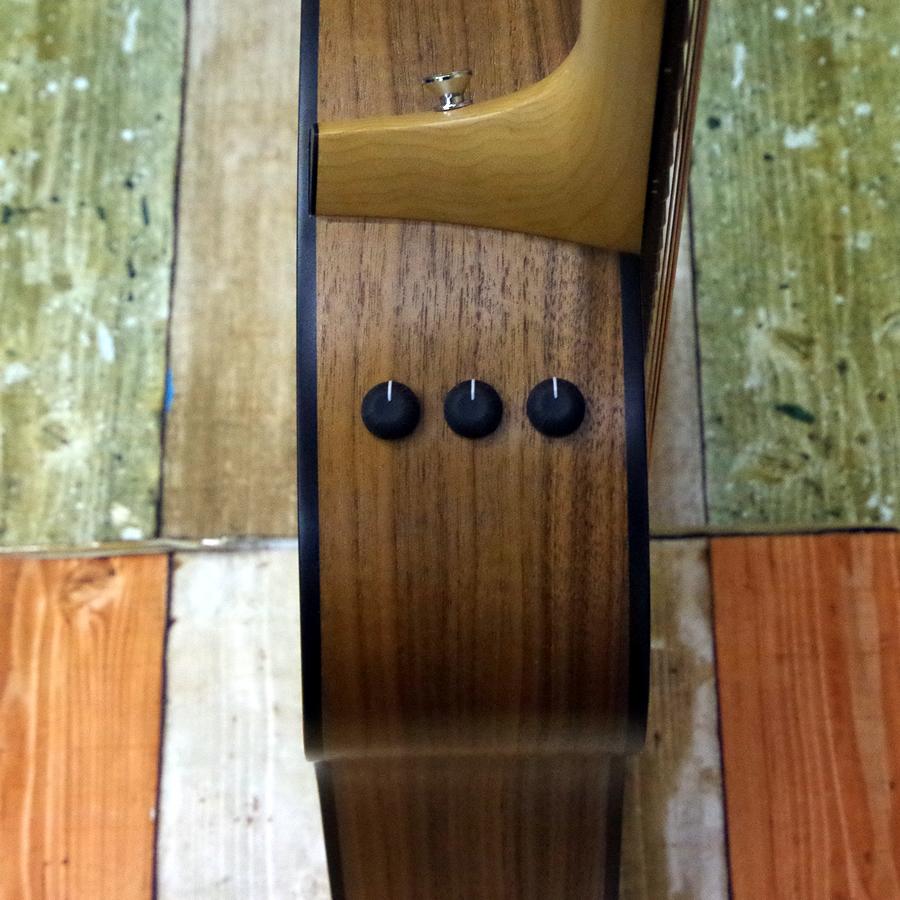 今がチャンス！】Taylor 110e -Walnut : みどり楽器Yahoo!ショップ