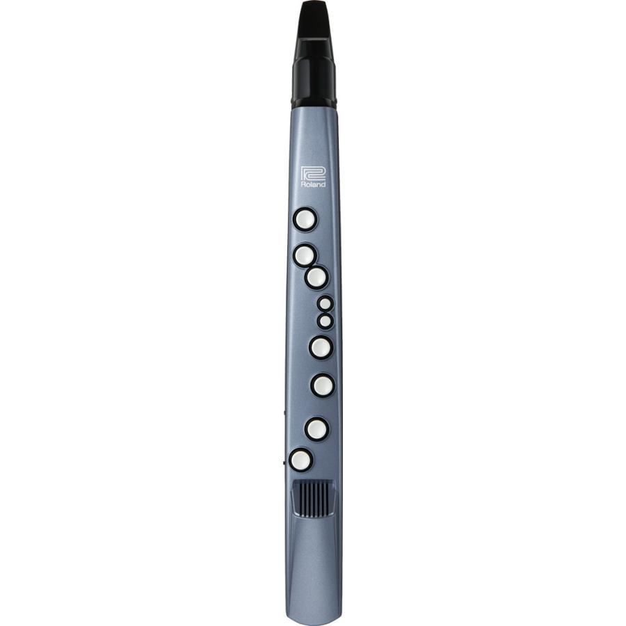 ローランド（Roland） Roland Aerophone mini AE-01 Digital Wind